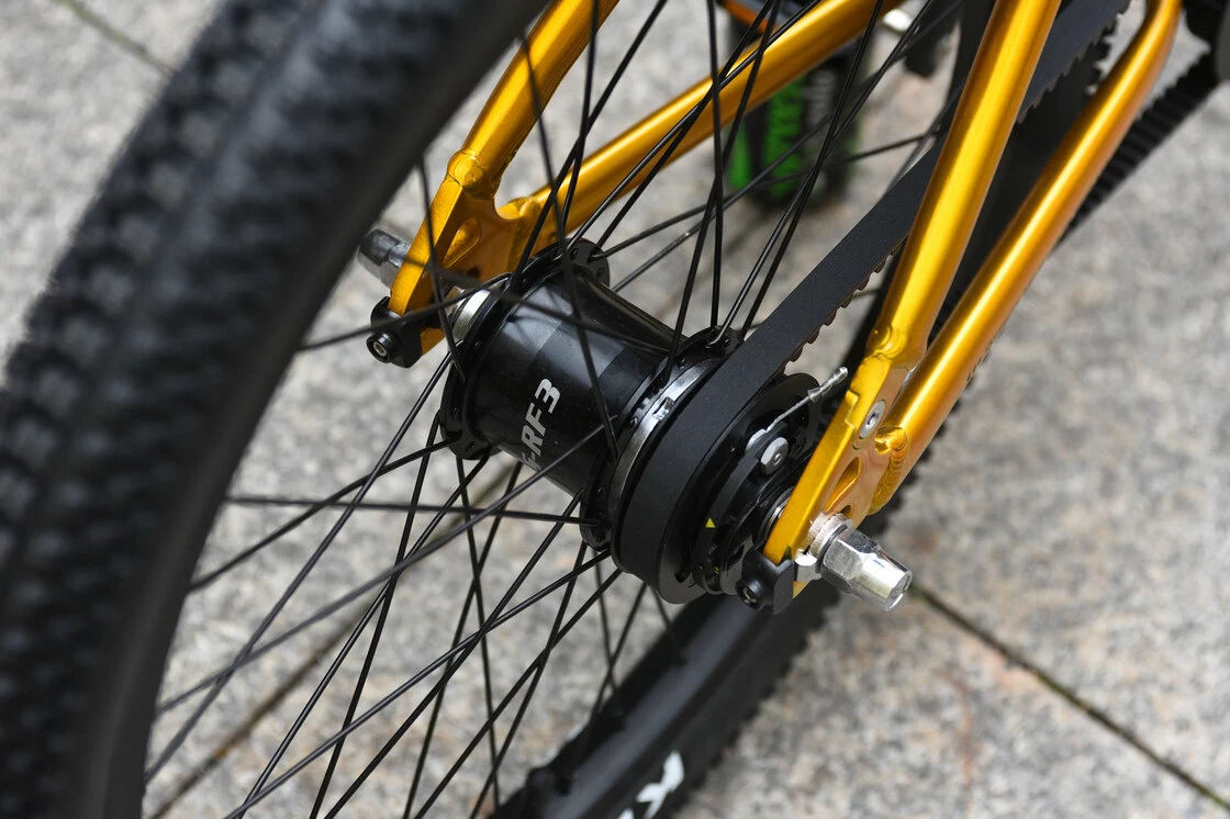 Rower dla dzieci Rascal 20" na pasku zębatym
