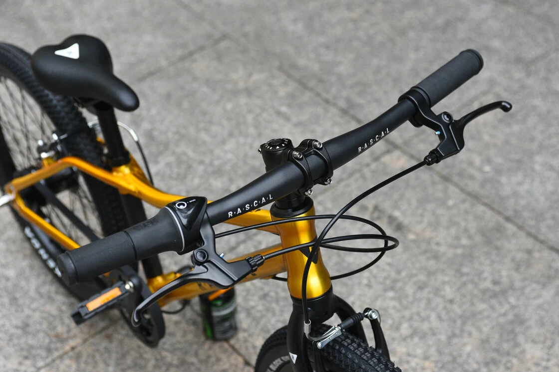 Rower dla dzieci Rascal 20" na pasku zębatym