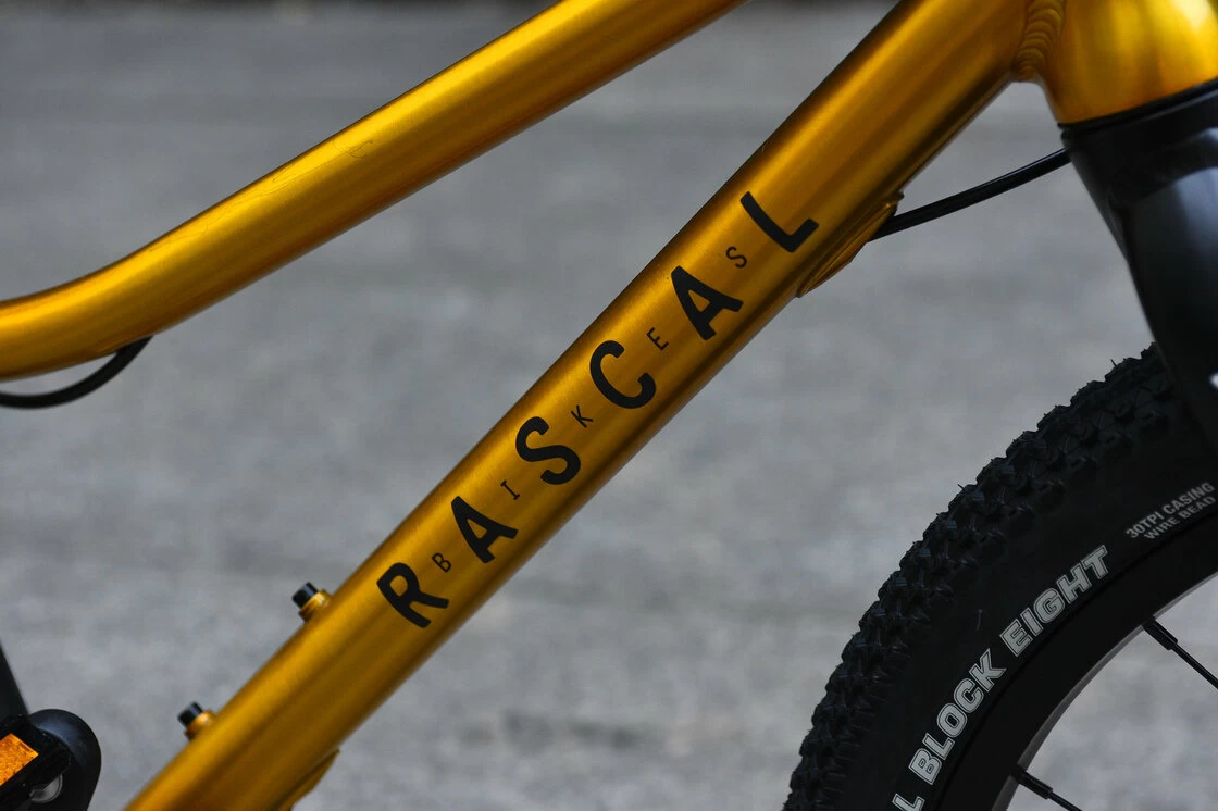 Rower dla dzieci Rascal 20" na pasku zębatym