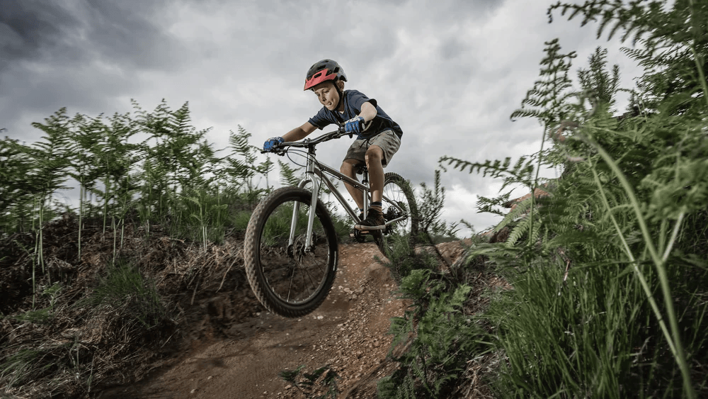 Rower dziecięcy Early Rider Seeker 24 2026 Fioletowy