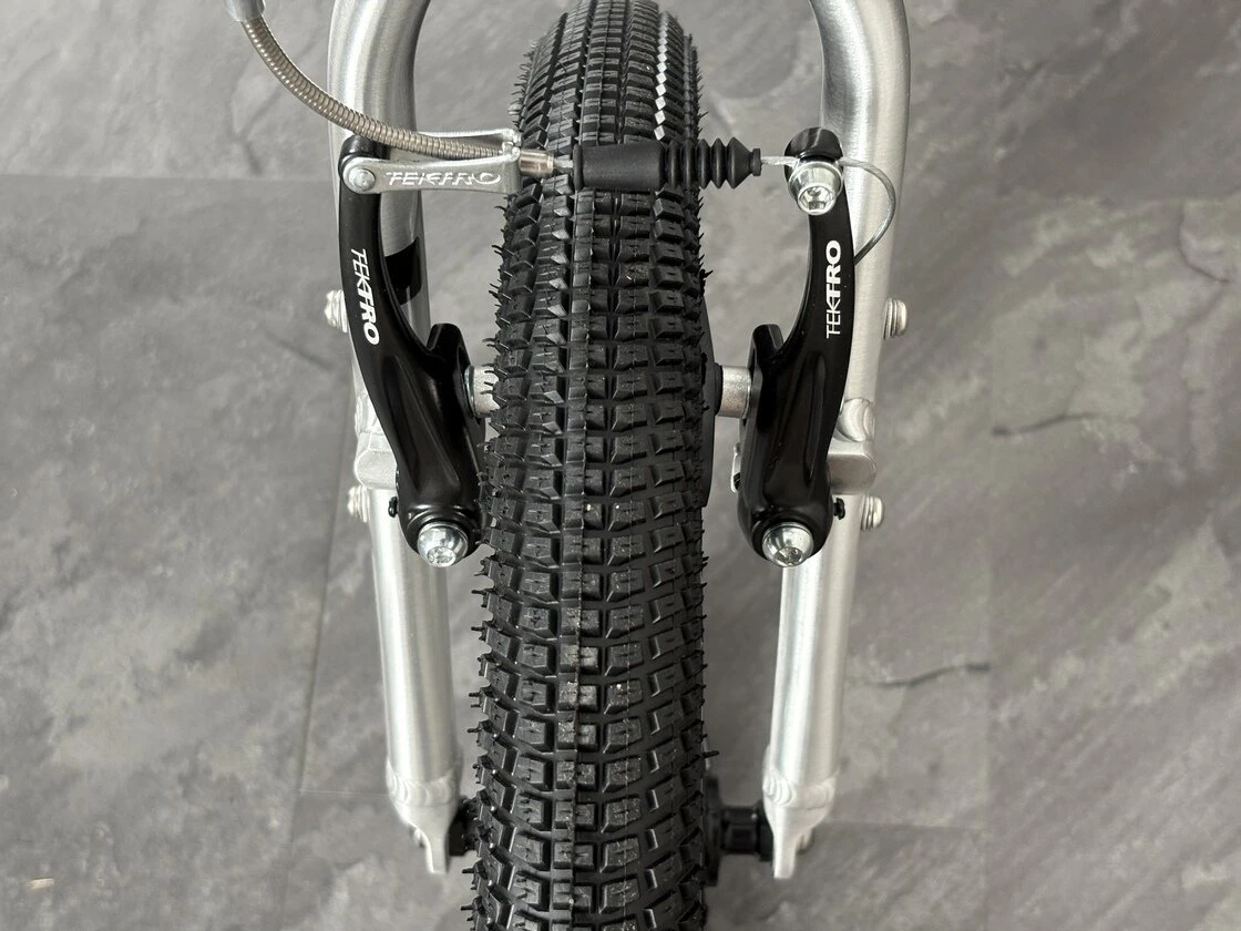 Rower dziecięcy na pasku Early Rider BELTER 20" AUTO Brushed