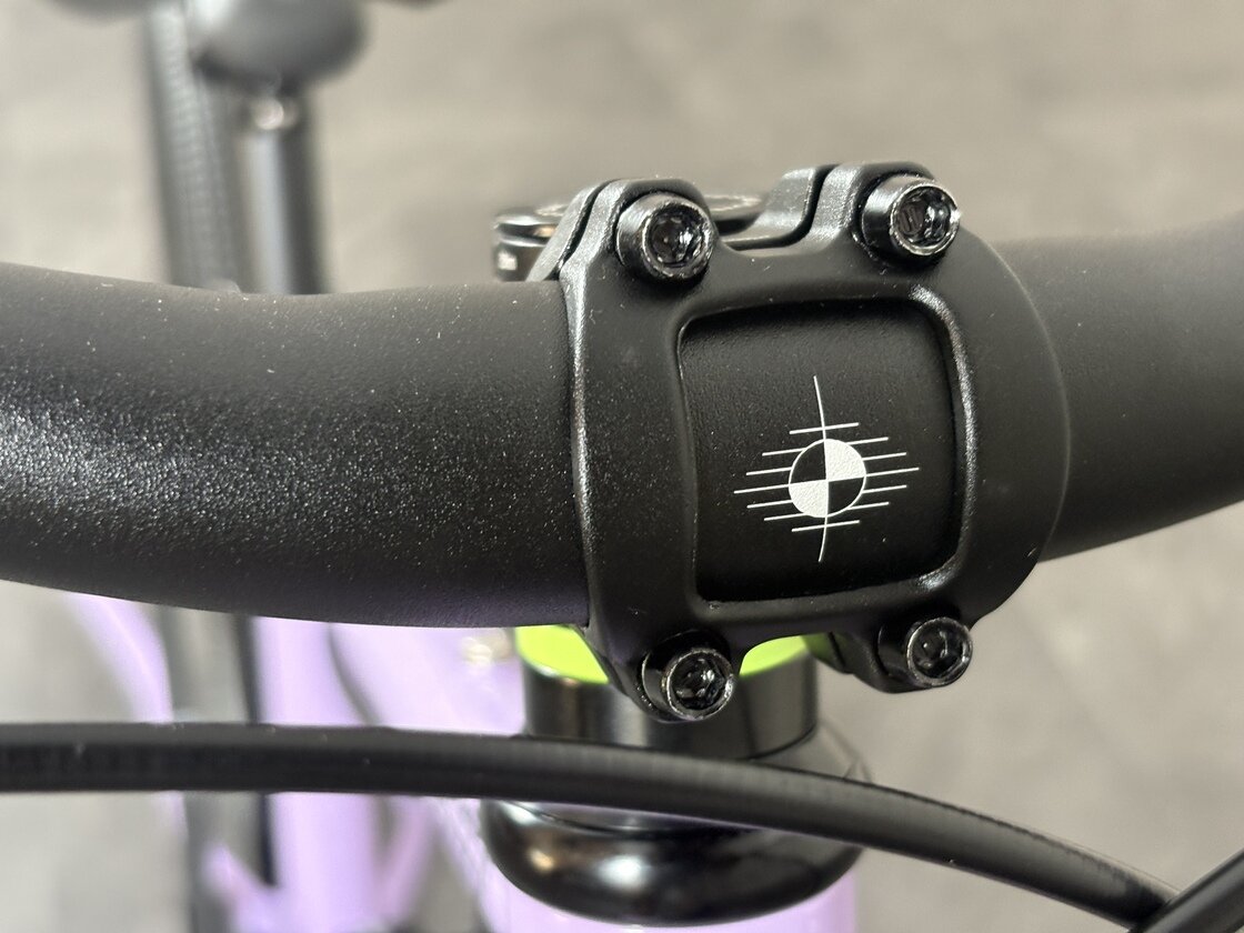 Rower dziecięcy na pasku Early Rider BELTER 20" AUTO Violet Haze