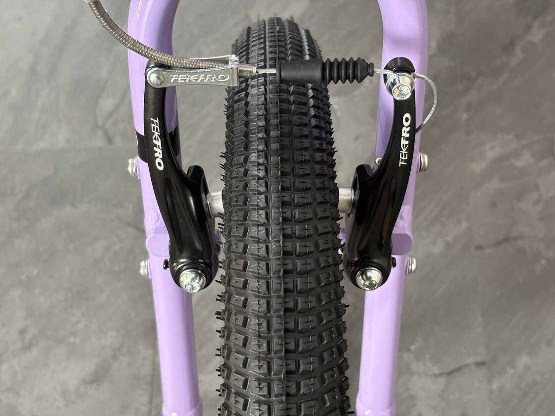 Rower dziecięcy na pasku Early Rider BELTER 20" AUTO Violet Haze