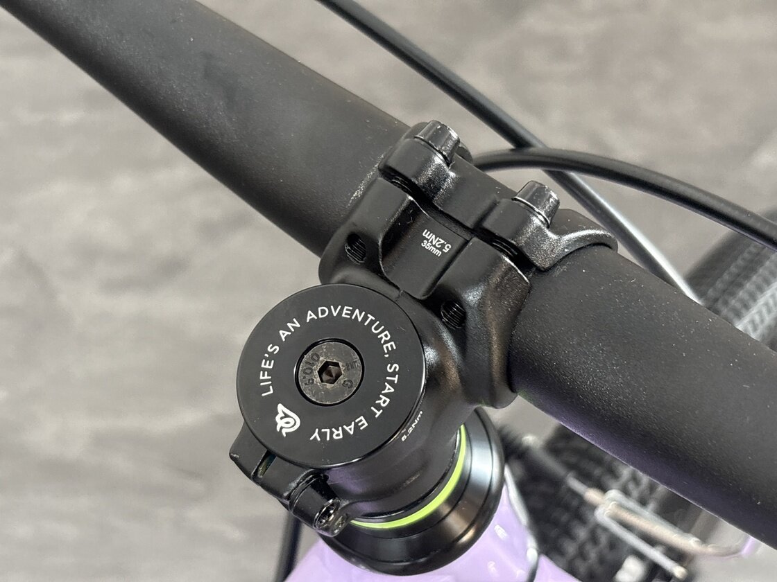 Rower dziecięcy na pasku Early Rider BELTER 20" AUTO Violet Haze