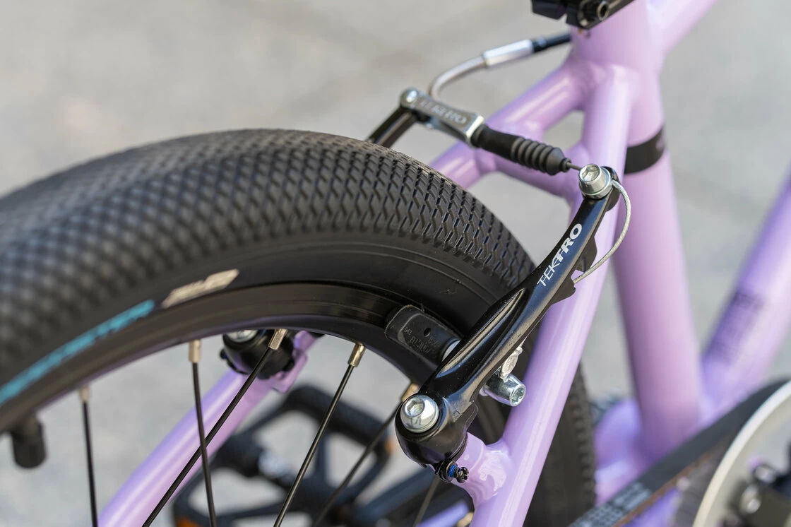 Rower dziecięcy na pasku Early Rider BELTER 20" Violet Haze