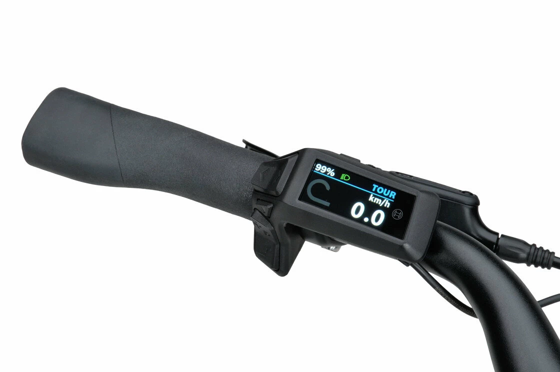 Rower elektryczny Batavus Altura E-go Bosch SMART Męski Grijs Metallic
