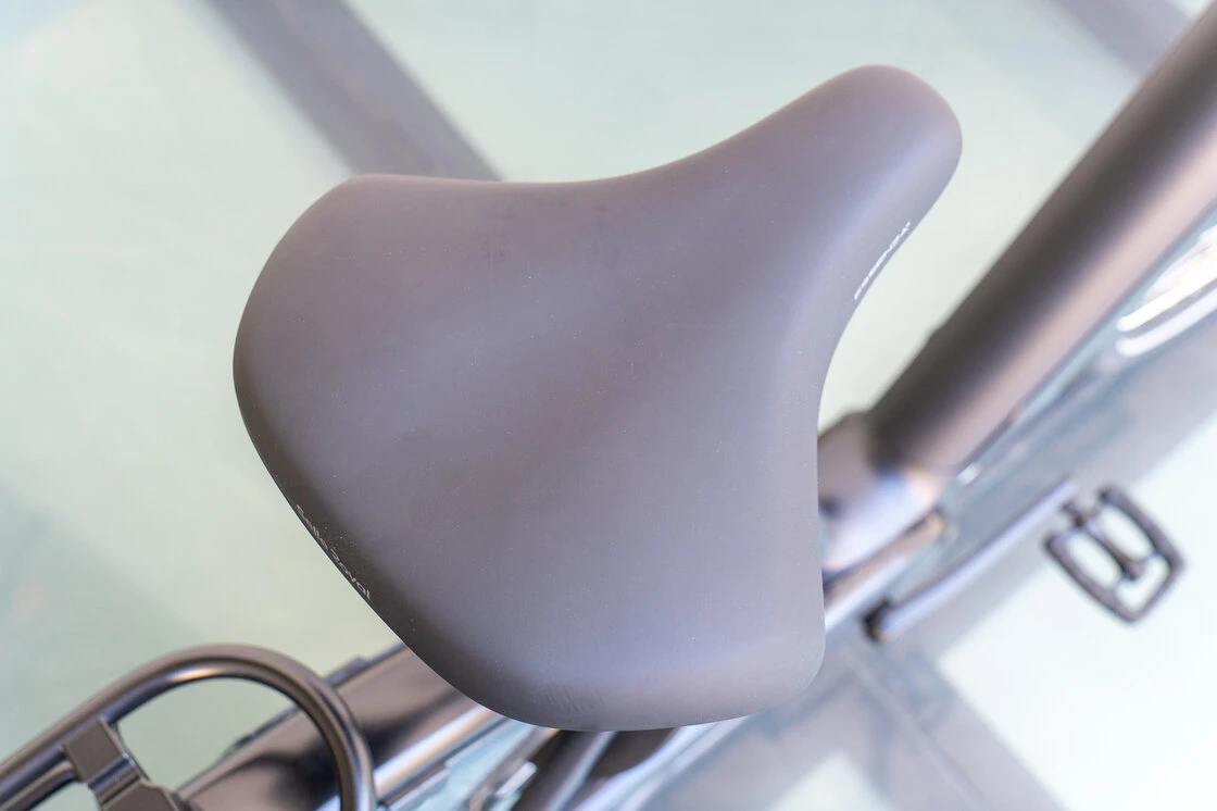 Rower elektryczny Batavus Finez PT Bosch Unisex Volcano Black Mat