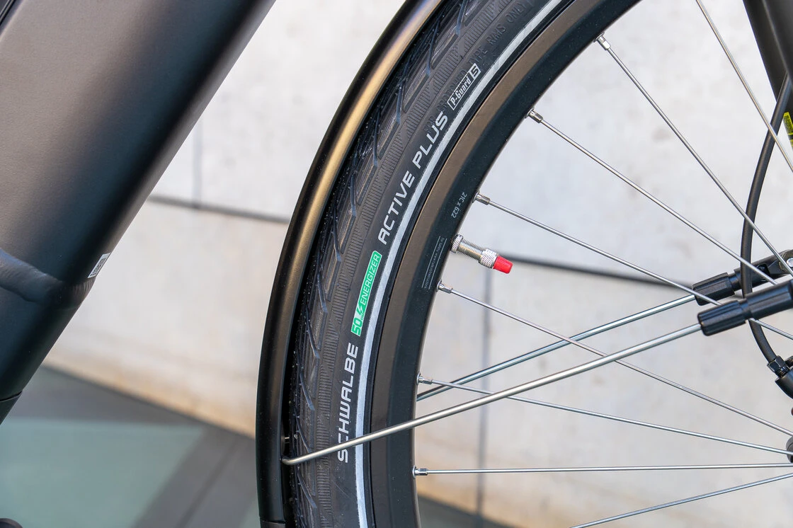 Rower elektryczny Batavus Finez PT Bosch Unisex Volcano Black Mat