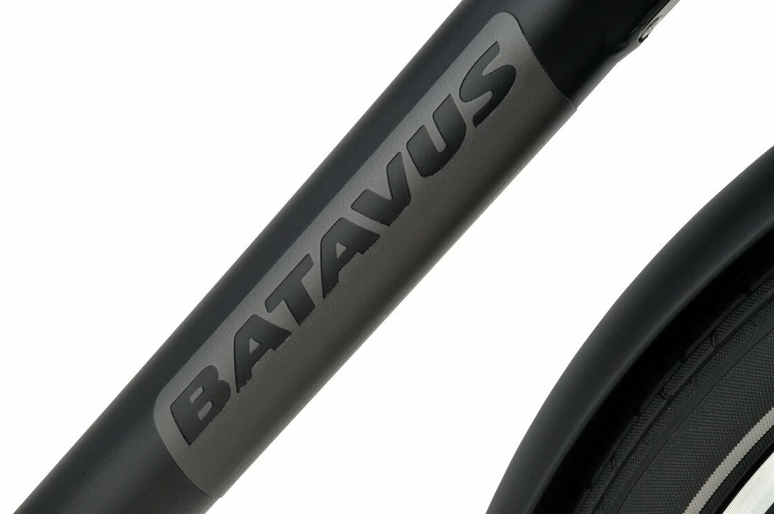 Rower elektryczny Batavus PACKD E-go Męski