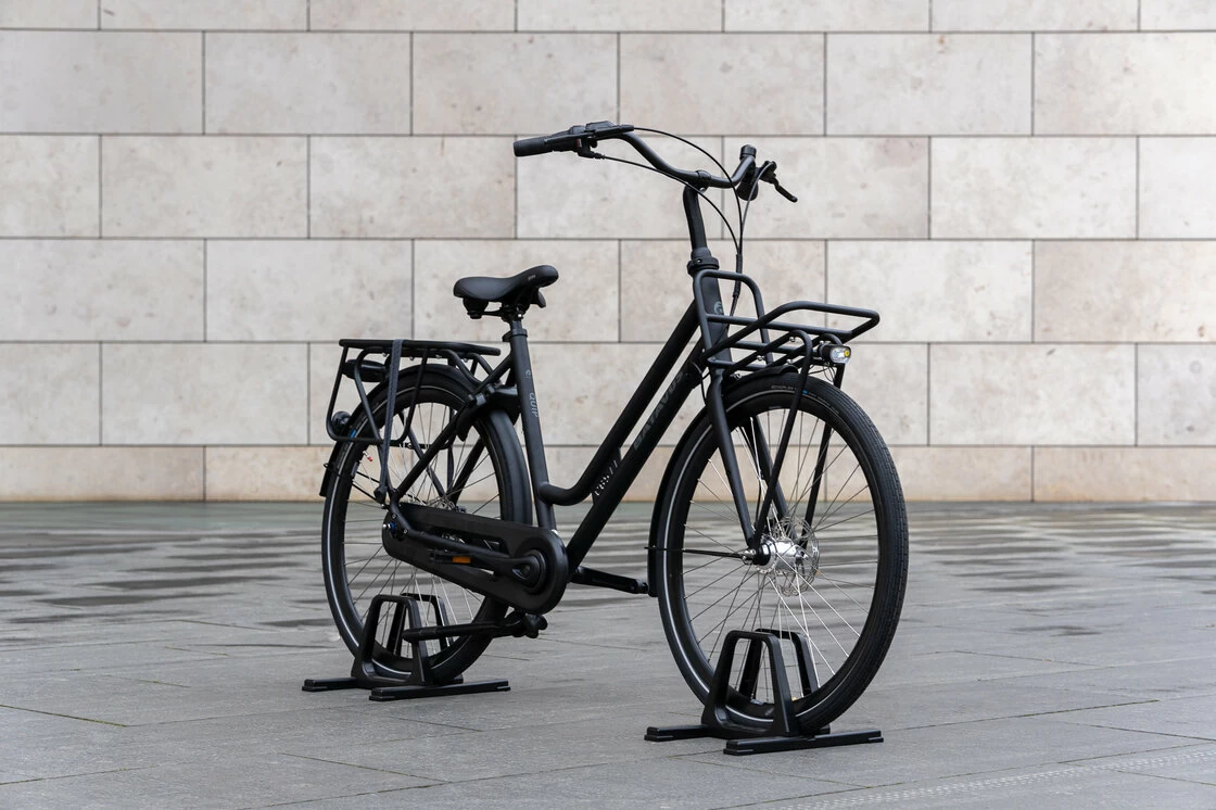 Rower elektryczny Batavus Quip Extra Cargo Bosch