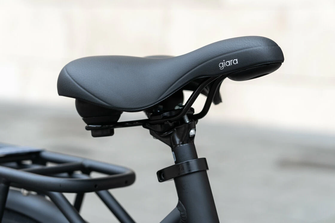 Rower elektryczny Batavus Quip Extra Cargo Bosch