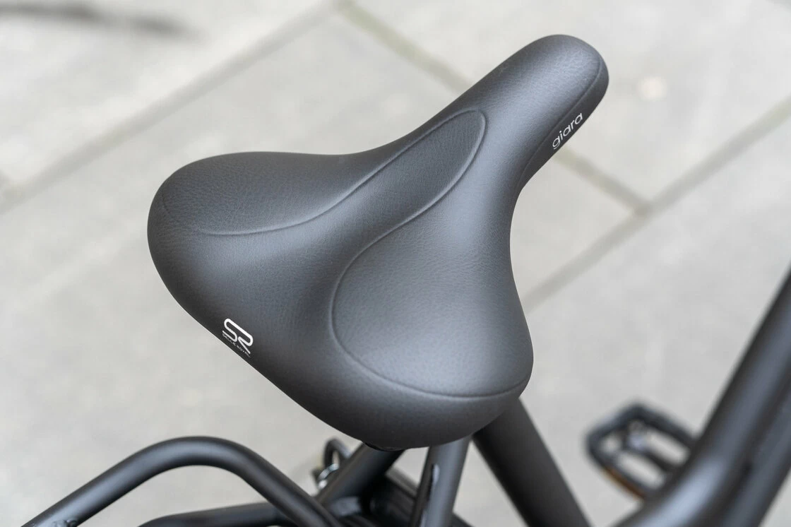 Rower elektryczny Batavus Quip Extra Cargo Bosch