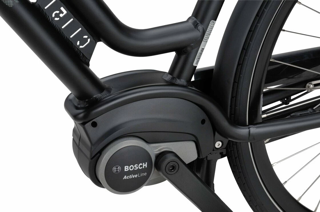 Rower elektryczny Batavus Quip Extra Cargo Bosch