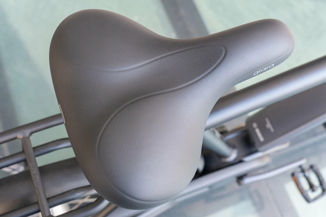 Rower elektryczny Batavus Quip Extra Cargo Bosch Męski Black Mat