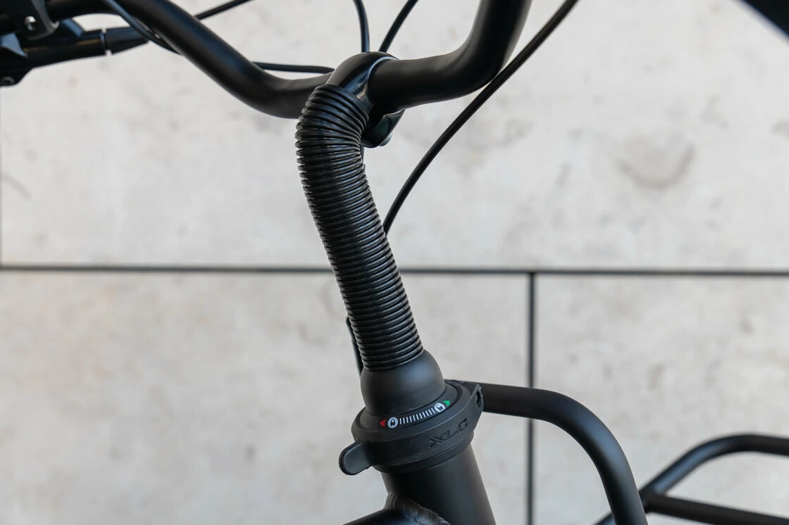 Rower elektryczny Batavus Quip Extra Cargo Bosch Męski Black Mat