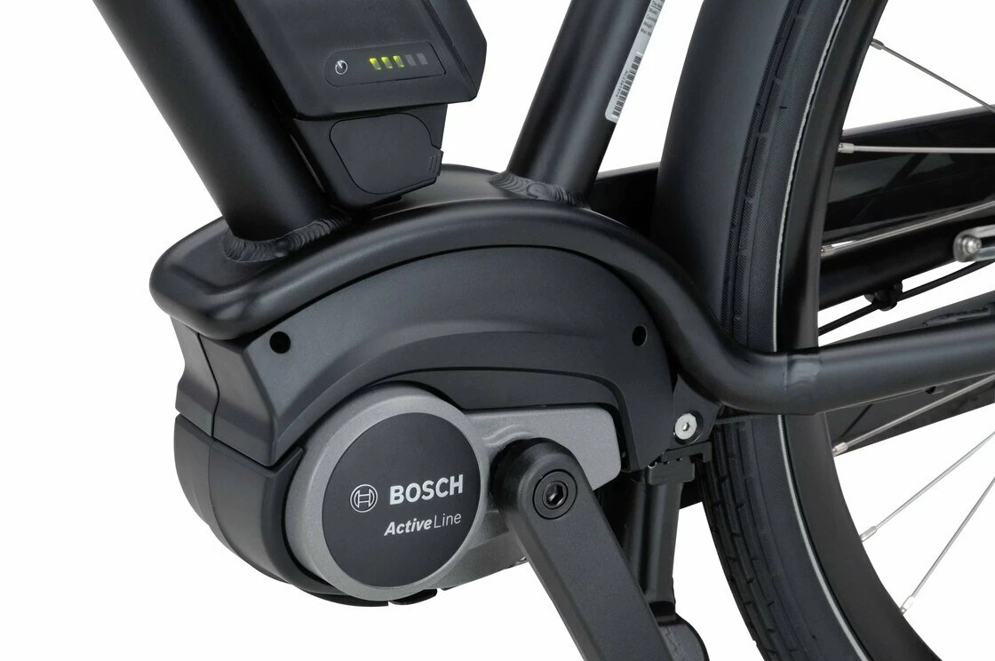 Rower elektryczny Batavus Quip Extra Cargo Bosch