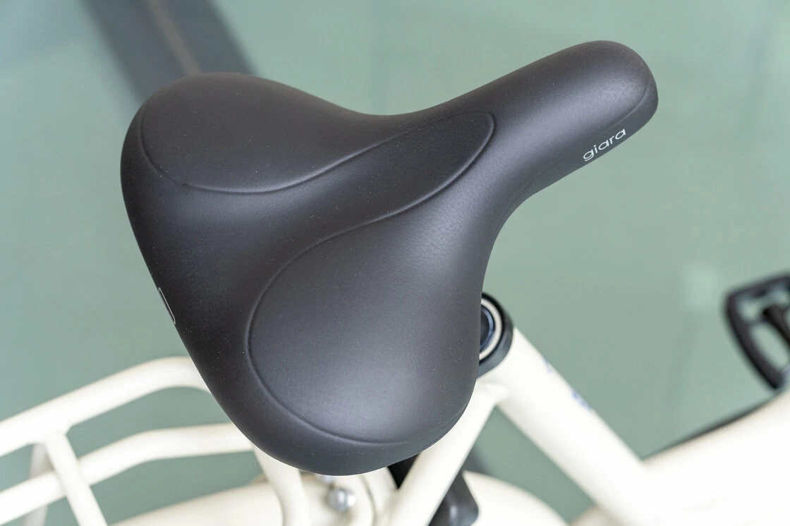 Rower elektryczny Batavus Quip Extra Cargo Bosch
