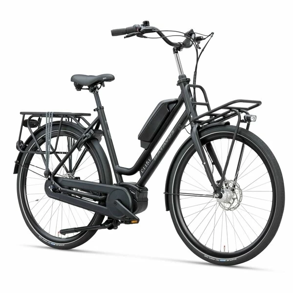 Rower elektryczny Batavus Quip Extra Cargo Ego PLUS • RoweryStylowe.pl