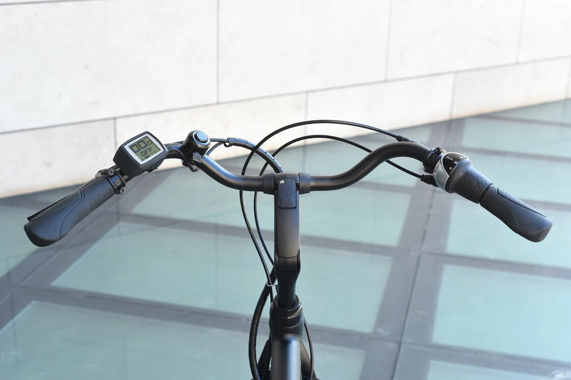 Rower elektryczny Batavus Wayz E-go Bosch Active 300Wh Męski Czarny Mat 57