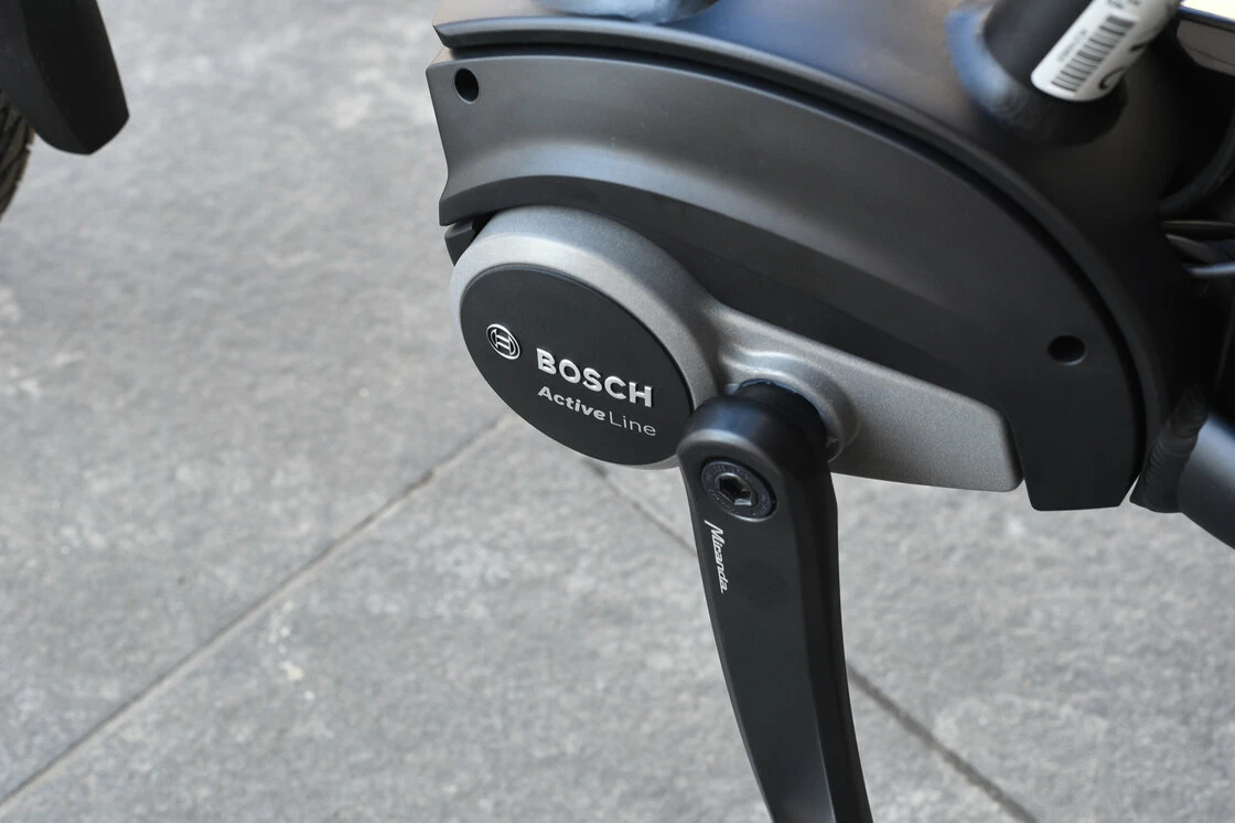 Rower elektryczny Batavus Wayz E-go Bosch Active 300Wh Męski Czarny Mat 57