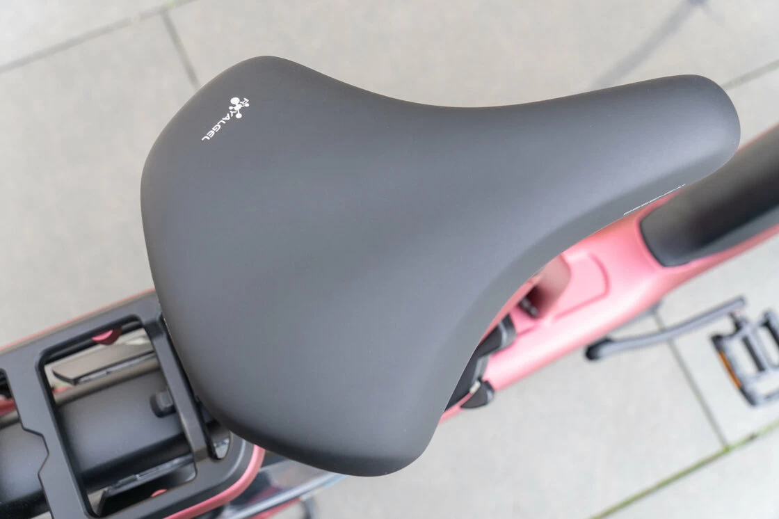 Rower elektryczny Gazelle Avignon C8 HMB  Bosch Coral Red Mat 61