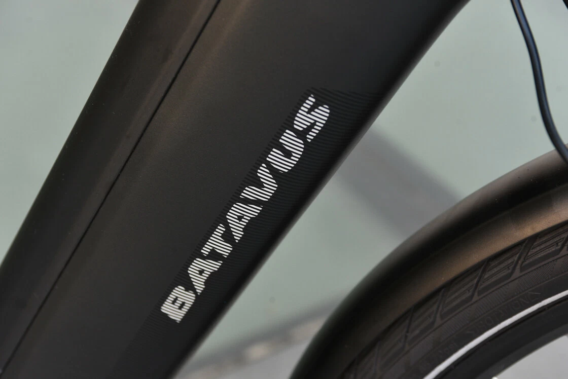 Rower elektryczny na pasku Batavus Finez Power Exclusive 625Wh (ham. w pedałach)  Męski Czarny Mat