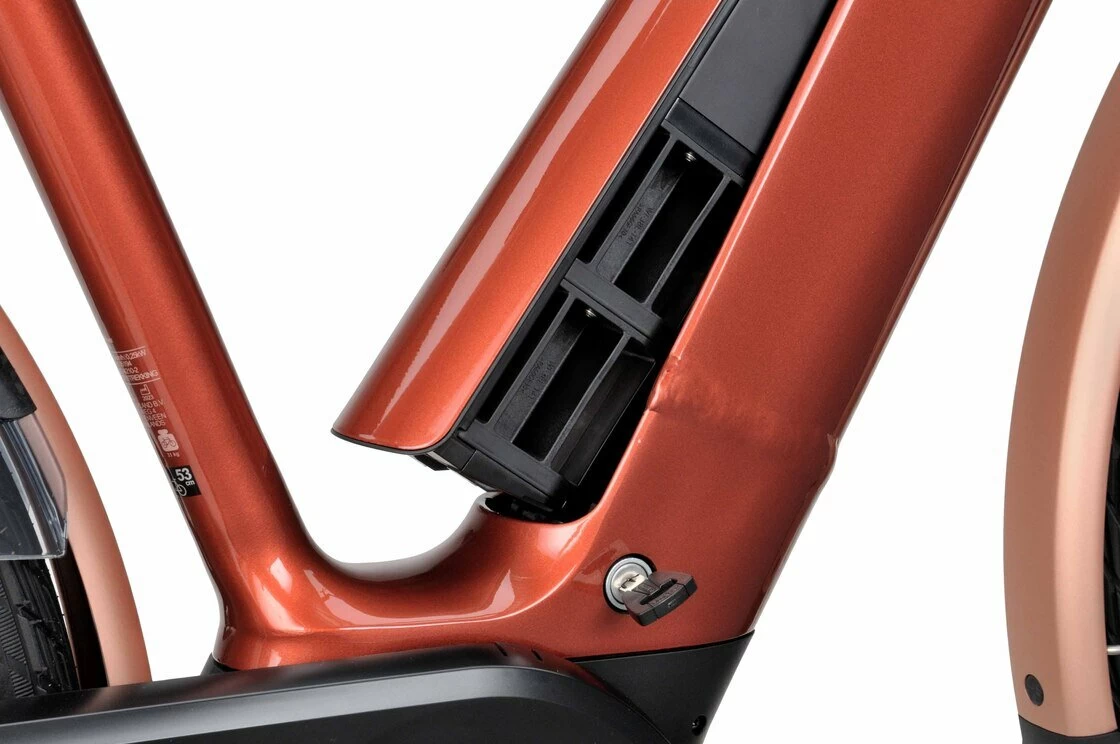 Rower elektryczny na pasku Batavus Finez Power Exclusive BES3 Smart