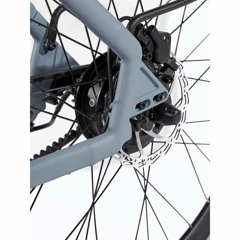 Rower elektryczny na pasku Cortina E-Lett Męski Squirrel Grey Mat