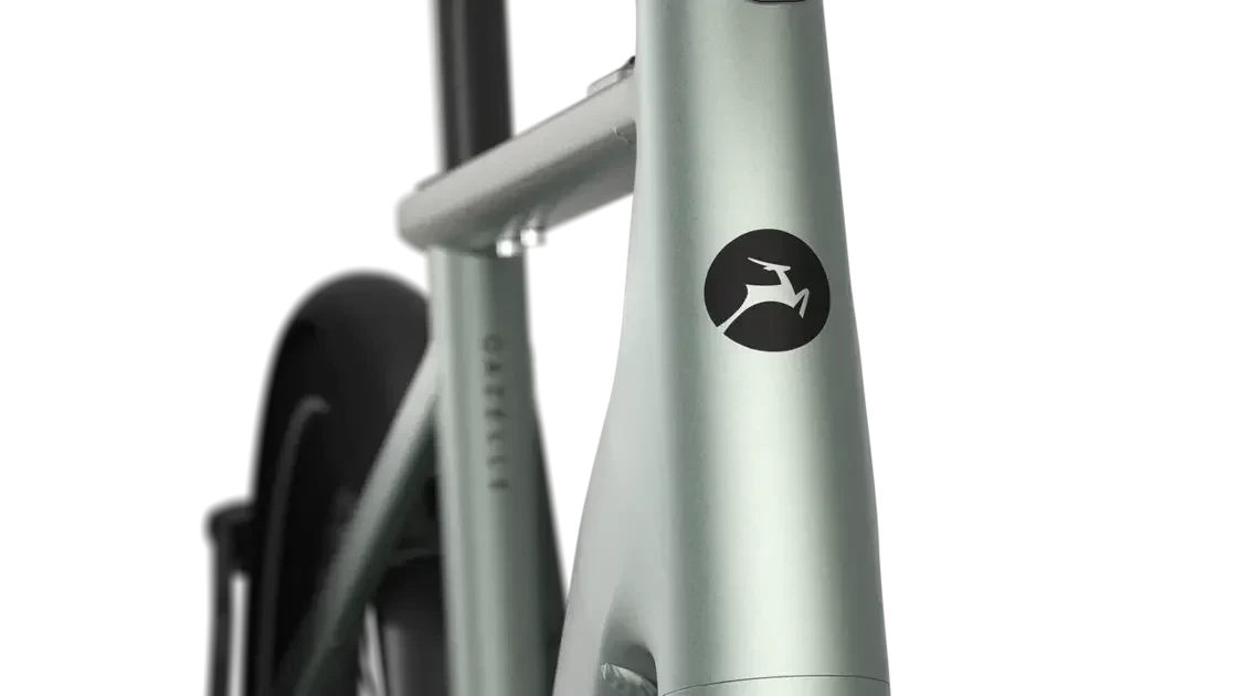 Rower elektryczny na pasku Gazelle Cayo C310 Fazua Męski Twilight Green