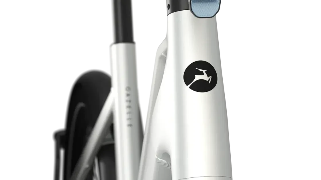 Rower elektryczny na pasku Gazelle Cayo C310 Fazua Unisex Pebble Grey