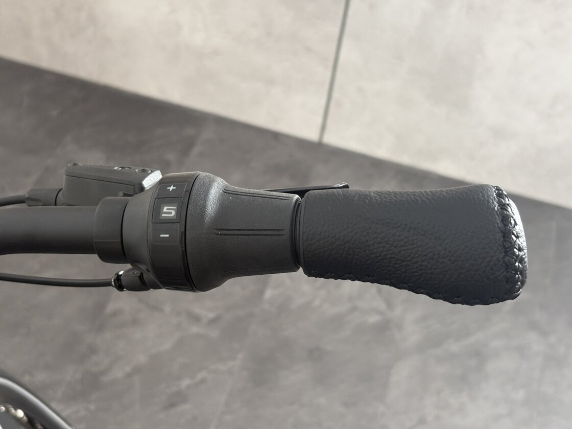 Rower elektryczny na pasku Gazelle Grenoble C5+ First Edition Unisex Twilight Green Mat