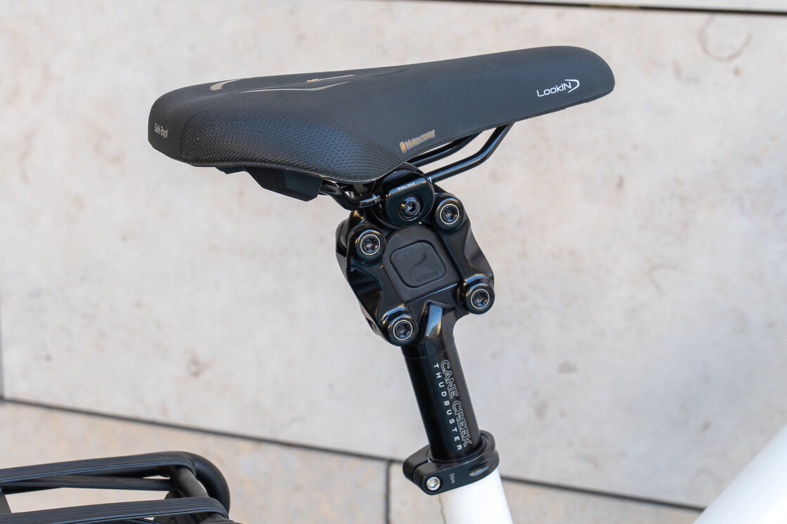 Rower elektryczny na pasku Riese & Muller Charger4 VARIO Mixte 750Wh