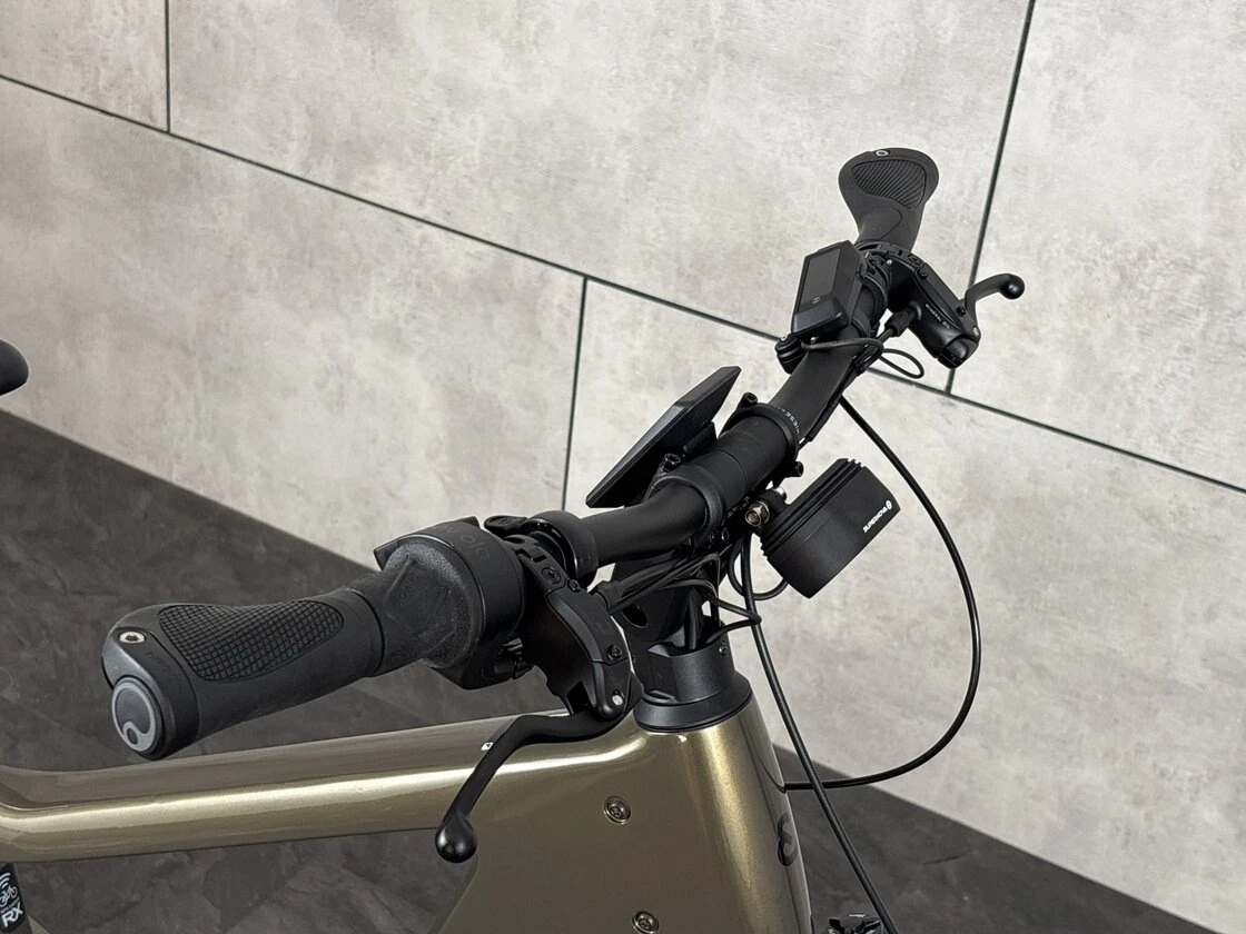 Rower elektryczny na pasku Riese & Muller Delite 5 Rohloff Bosch Amber