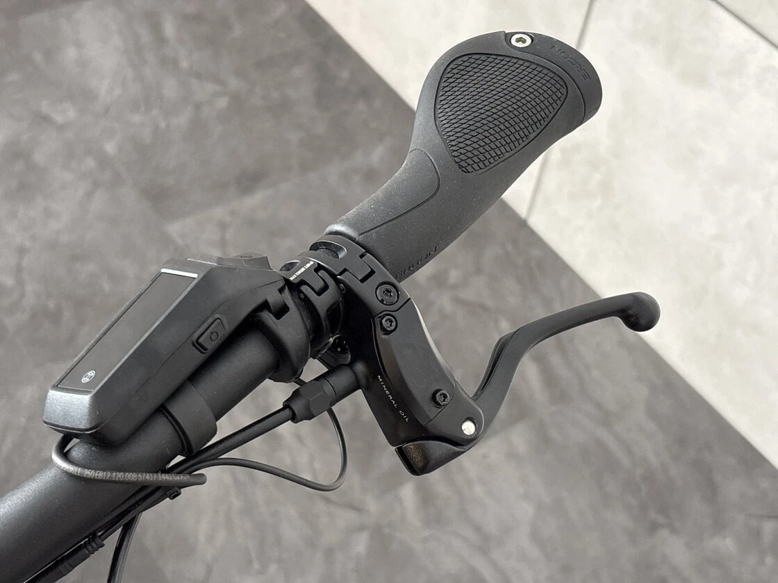 Rower elektryczny na pasku Riese & Muller Delite 5 Rohloff Bosch Amber
