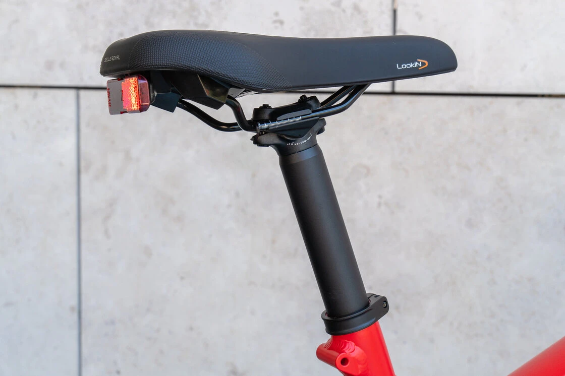 Rower elektryczny na pasku Riese & Muller Delite GT Vario 625Wh Chili Mat