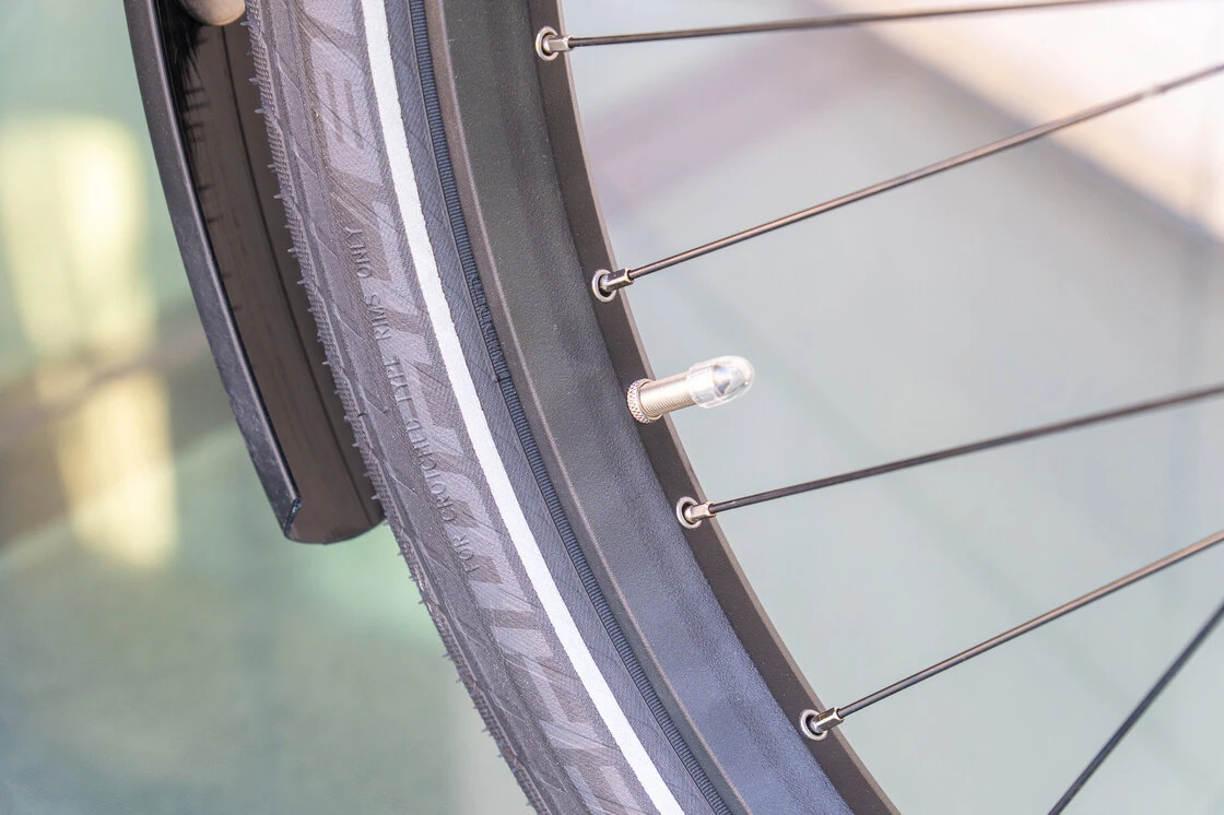 Rower elektryczny na pasku Riese & Muller Delite GT Vario 625Wh Chili Mat