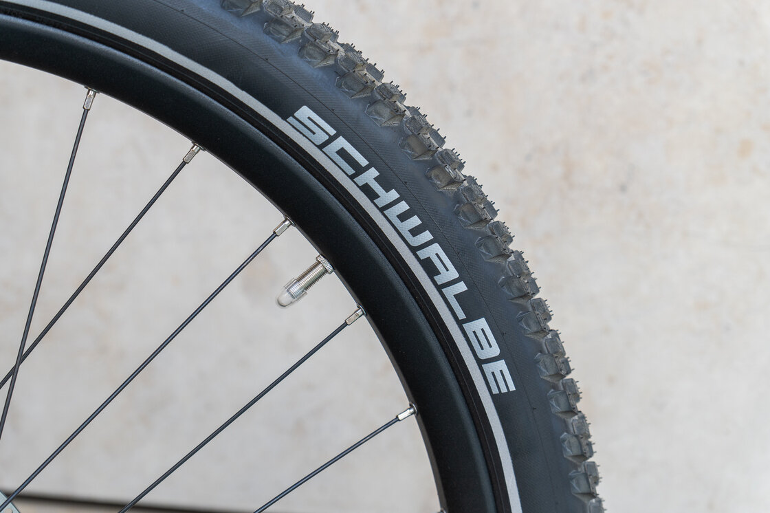 Rower elektryczny na pasku Riese & Muller Homage 5 GT Pinion