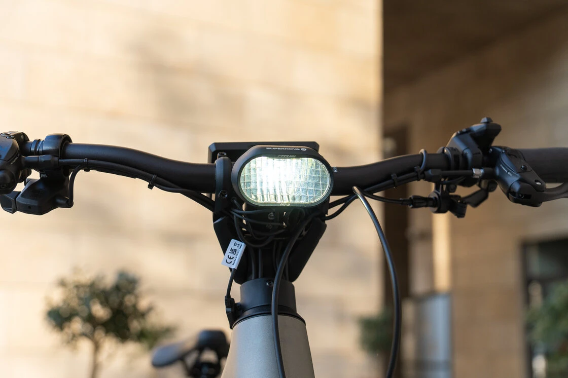 Rower elektryczny na pasku Riese & Muller Homage 5 [KONFIGURATOR]