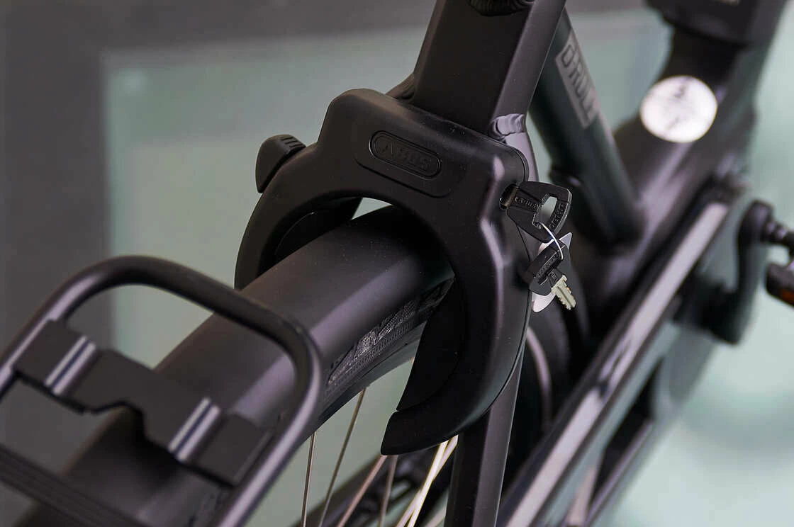 Rower elektryczny Sparta d-Rule M8TB Bosch Alfine 8 Męski