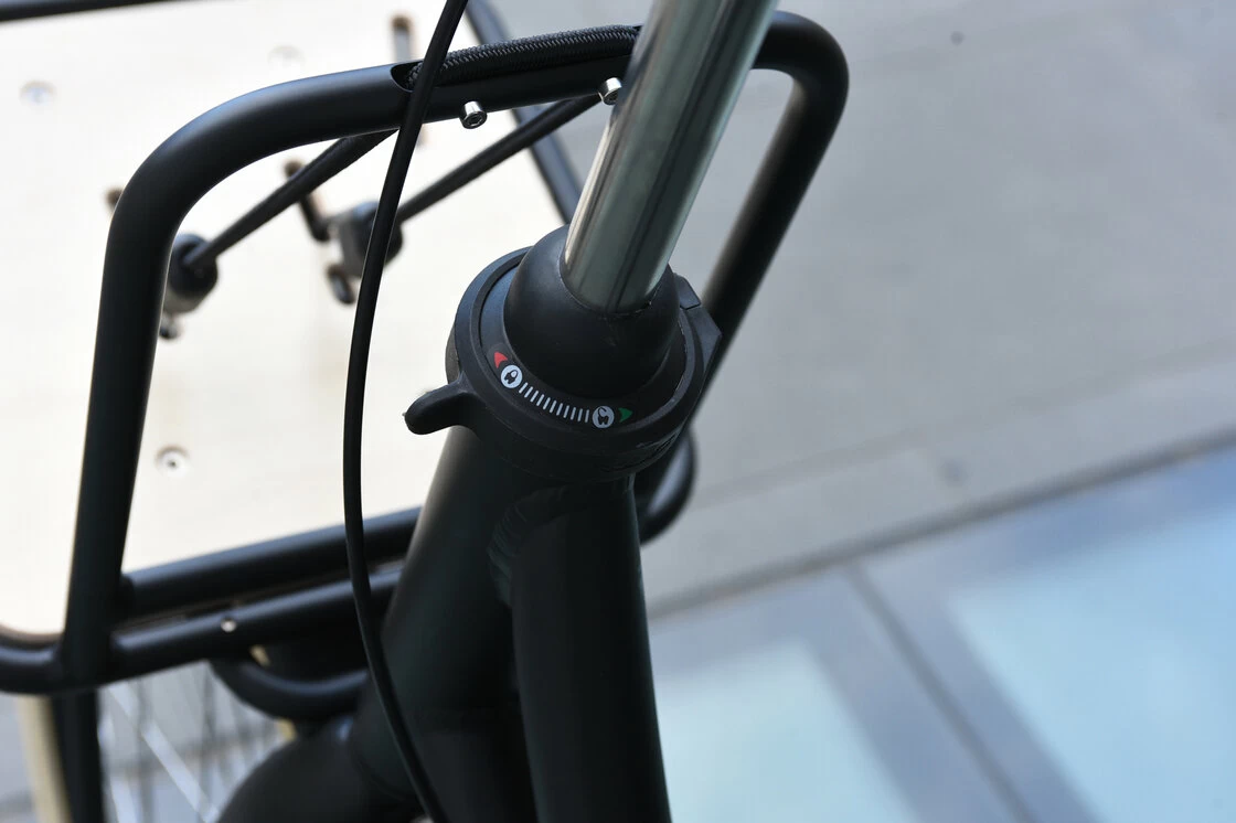 Rower miejski Batavus PACKD 3 Black Mat 61