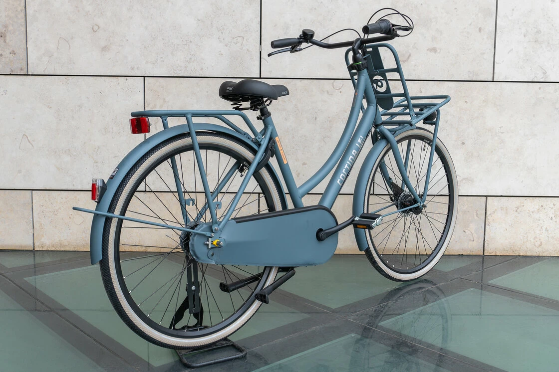 Rower miejski Cortina U4 Mouse Grey Mat 57