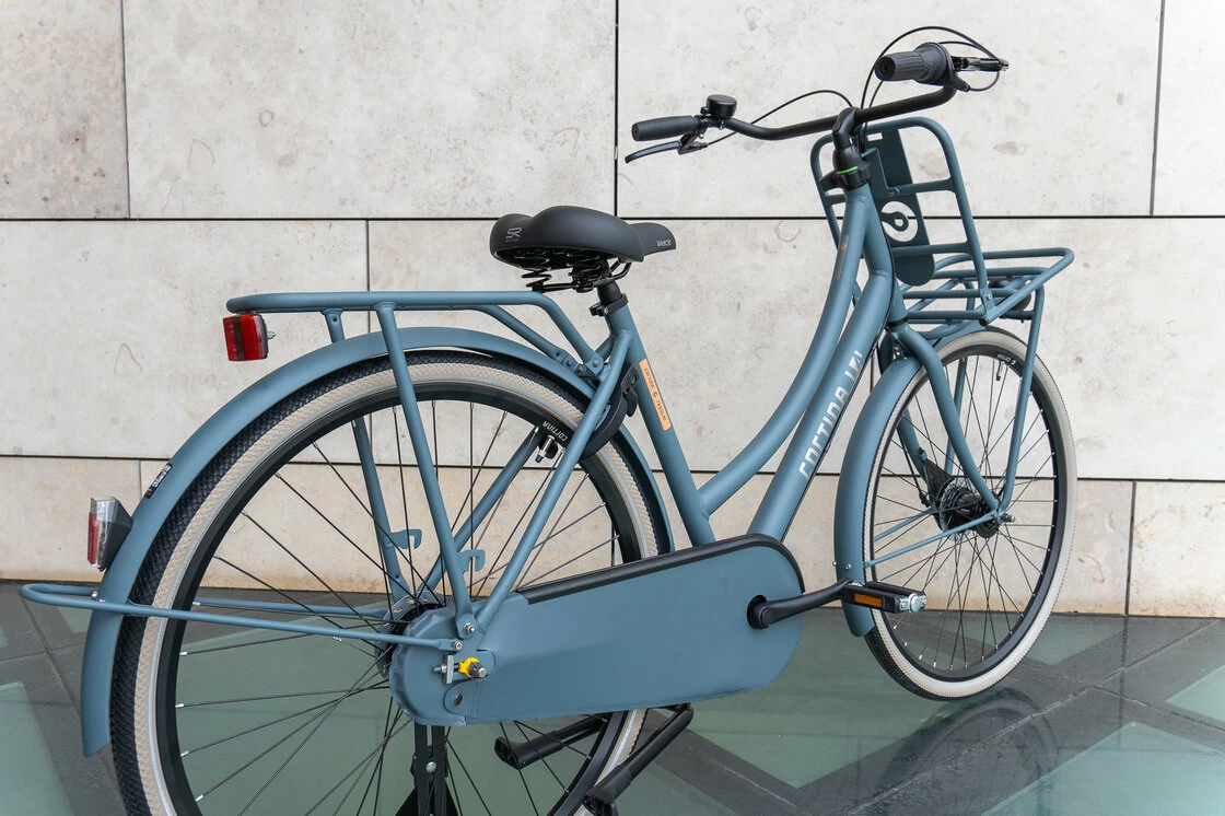 Rower miejski Cortina U4 Mouse Grey Mat 57