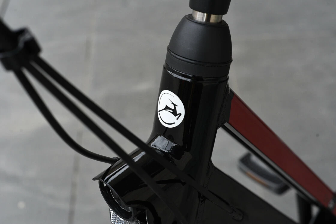 Rower miejski Gazelle CityGo C3 Black