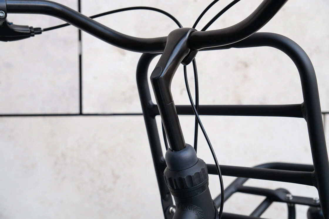 Rower miejski Gazelle Heavy Duty NL Black mat 54