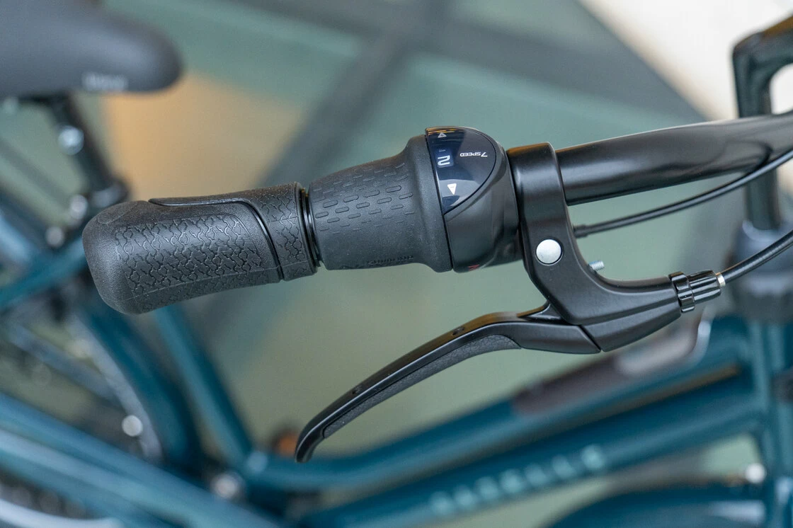 Rower miejski Gazelle Heavy Duty NL Pine Green 59