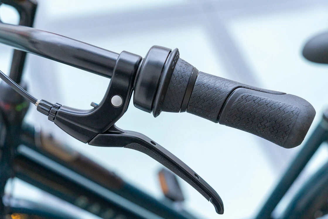 Rower miejski Gazelle Heavy Duty NL Pine Green 59