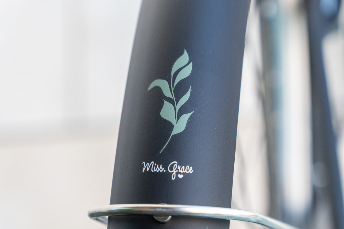 Rower miejski Gazelle Miss Grace Black Mat