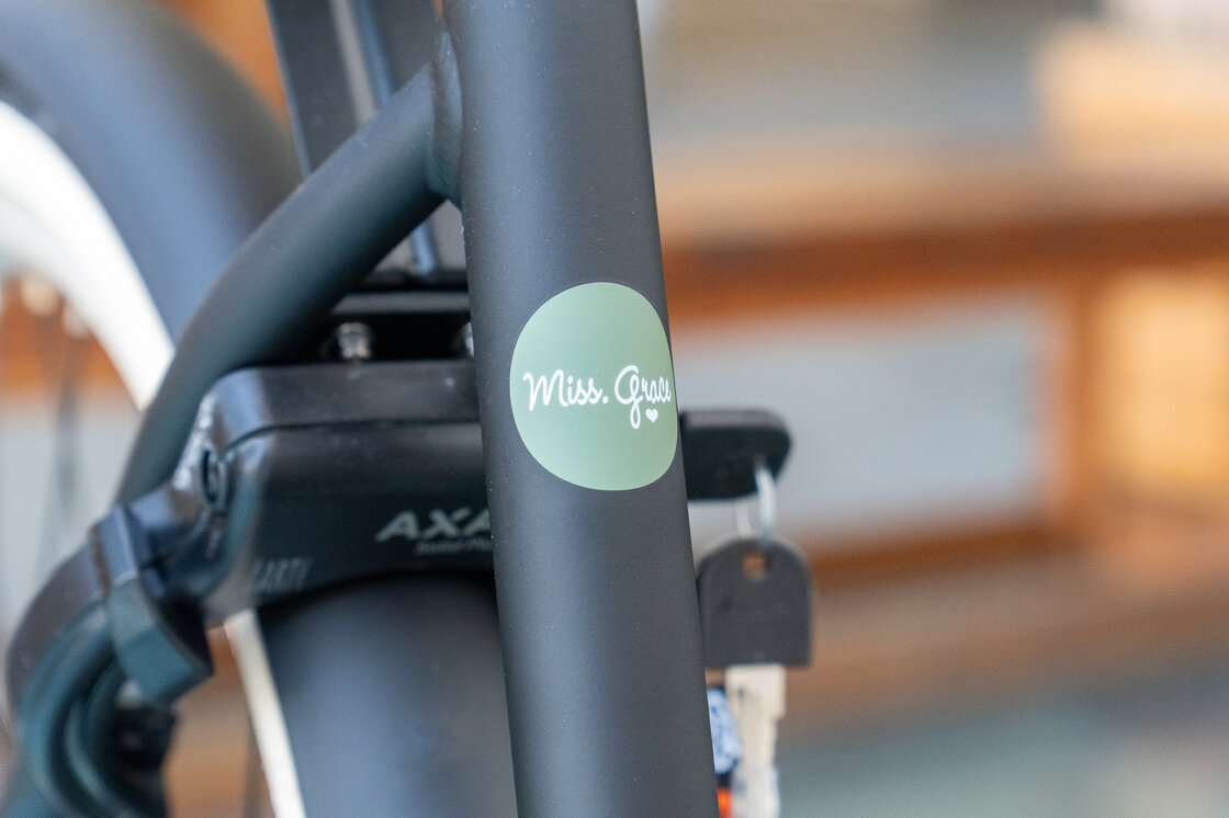 Rower miejski Gazelle Miss Grace Black Mat