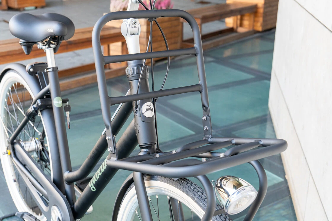 Rower miejski Gazelle Miss Grace Black Mat 59