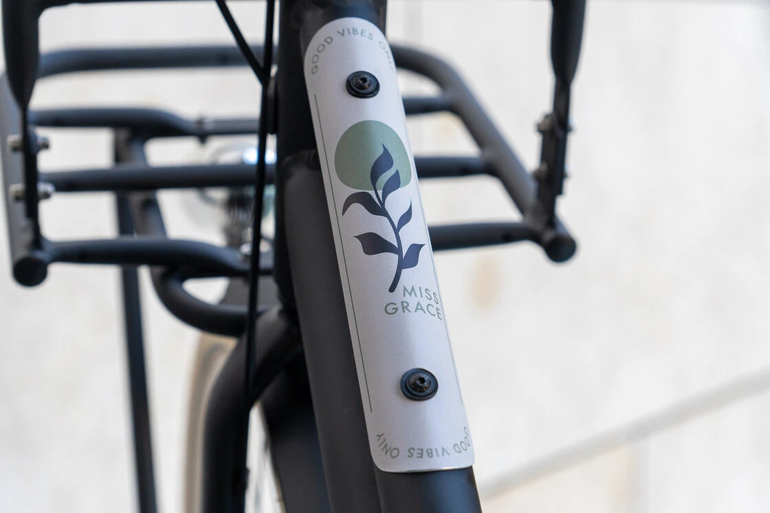 Rower miejski Gazelle Miss Grace Black Mat 59